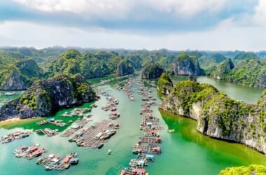 Hướng dẫn chi tiết lịch trình du lịch Hải Phòng tự túc dành cho người mới bắt đầu