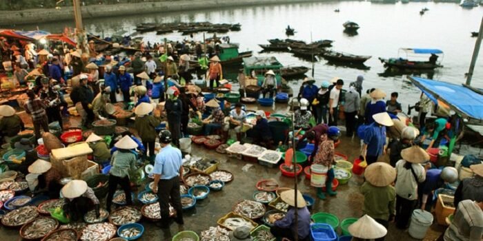 Review chi tiết các khu chợ hải sản tươi sống nổi tiếng nhất tại Hạ Long